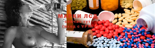 мяу мяу мука Бугульма